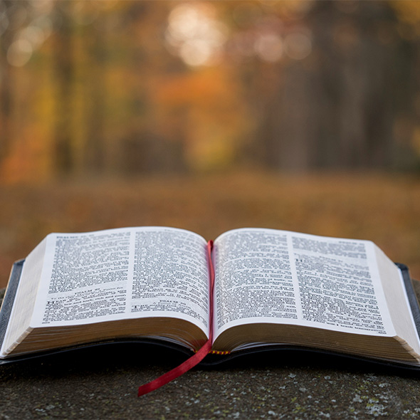 Campus Bible Study
